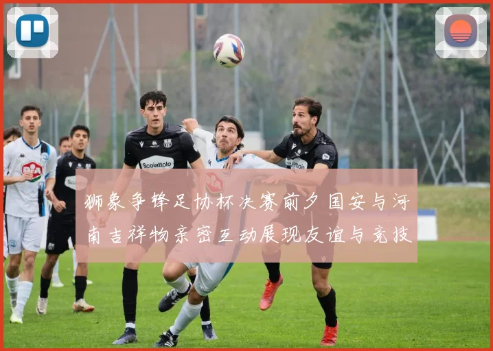狮象争锋足协杯决赛前夕国安与河南吉祥物亲密互动展现友谊与竞技精神