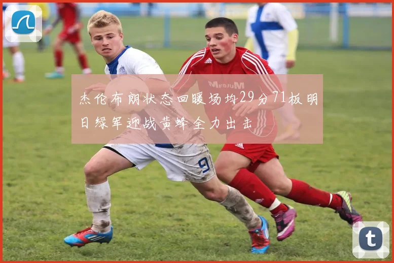 杰伦布朗状态回暖场均29分71板明日绿军迎战黄蜂全力出击