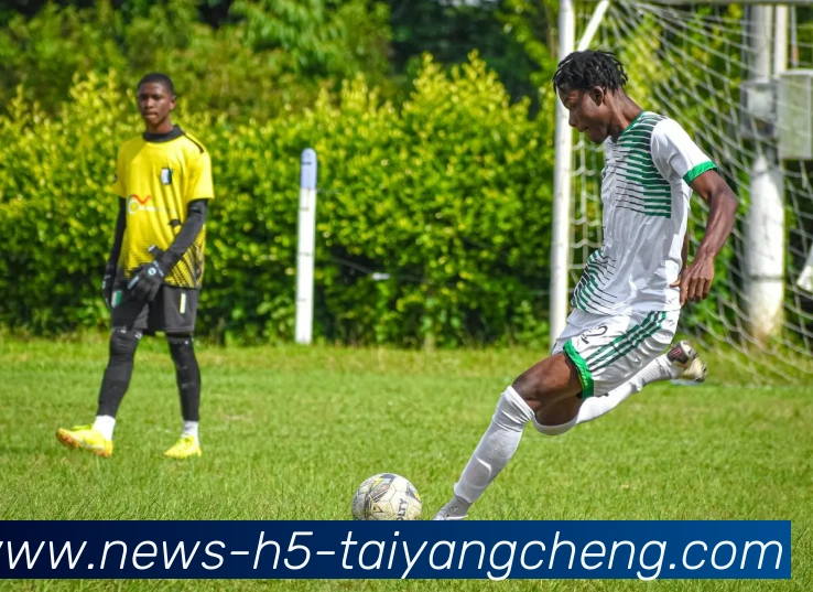 太阳城发展历程